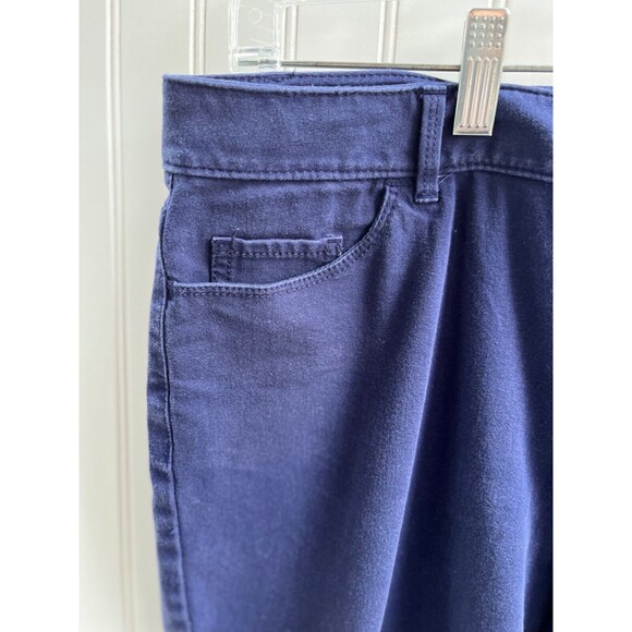 Coldwater Creek Natural Fit Cropped Leg Pants Women Sz 10 Blue Straight Leg - Picture 2 of 6
